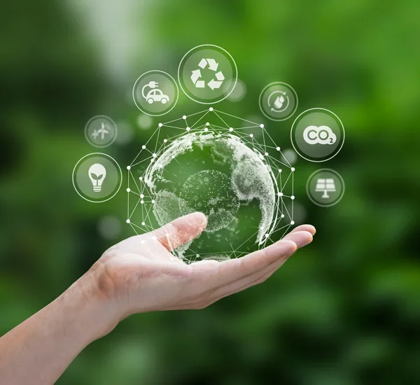 Regencia ambiental ante SETENA